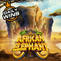 African Elephants™